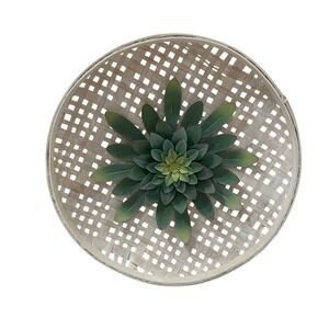 Hobby Lobby Woven Tobacco Basket Wall Decor Metal Green Succulent Flower 17.5 in